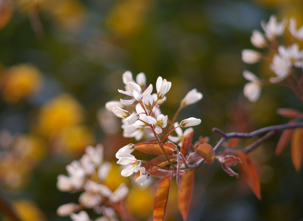 Testaufnahme mit meinen 30 jahre alten Pentax smc M 200mm