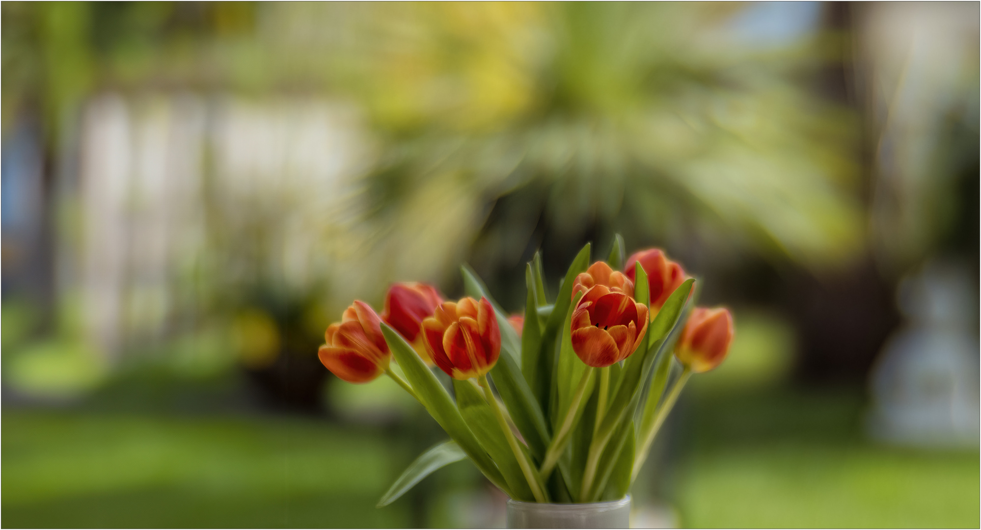 Testbild mit Tulpen – Offenblende