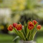 Testbild mit Tulpen – Offenblende