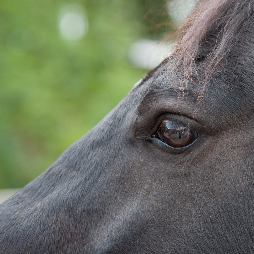 Testbild Nikkor 24-120 f4 VRII