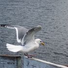 Testing The Wind