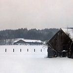 Testphoto mit 70 Jahre alter Kamera