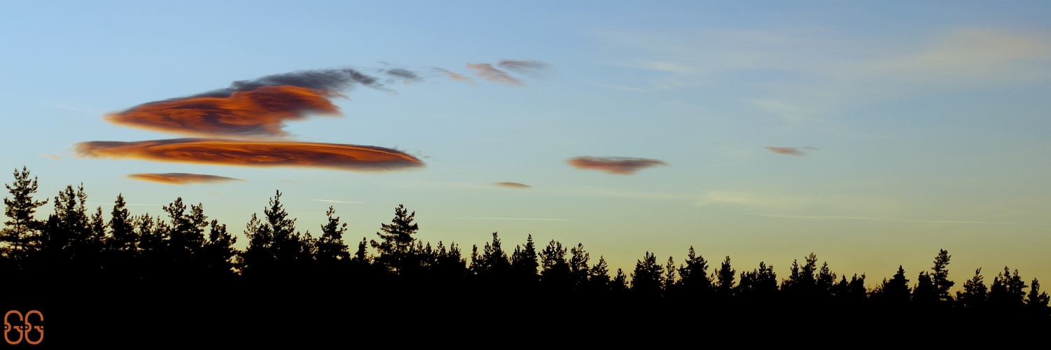 tete dans les nuages