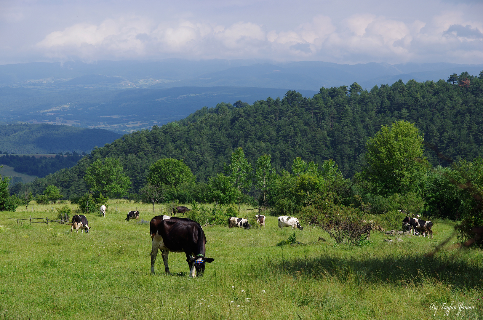 Tetemecele village - Bolu / Turkey