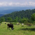 Tetemecele village - Bolu / Turkey