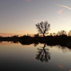 Teterower See in Abendstimmung