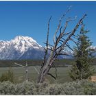 Teton Nationalpark in Wyoming_2