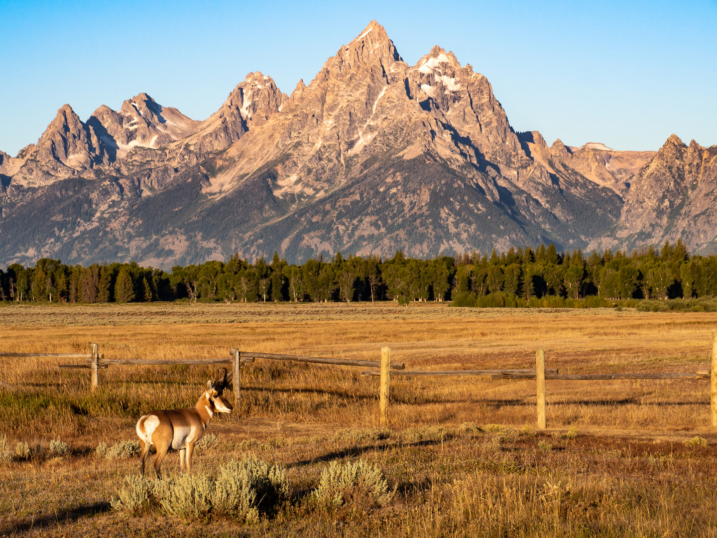 Teton NP