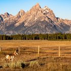 Teton NP