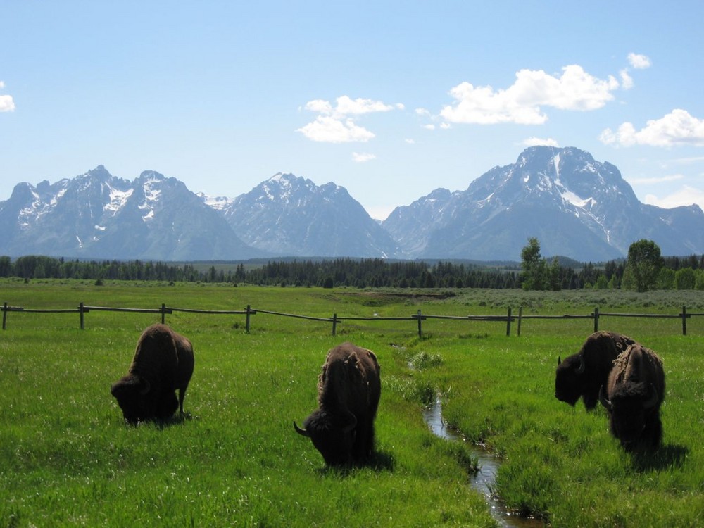 Teton Park