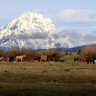 Teton Range