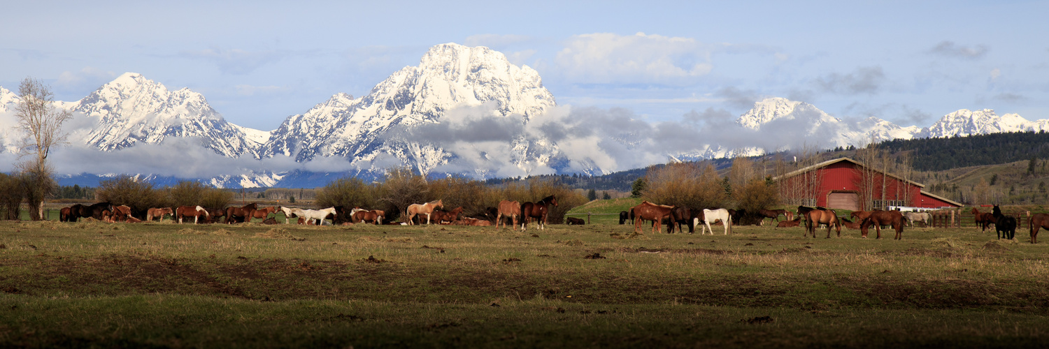 Teton Range