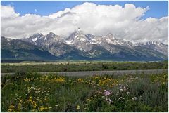 Tetons 6