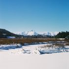 Tetons With Snow