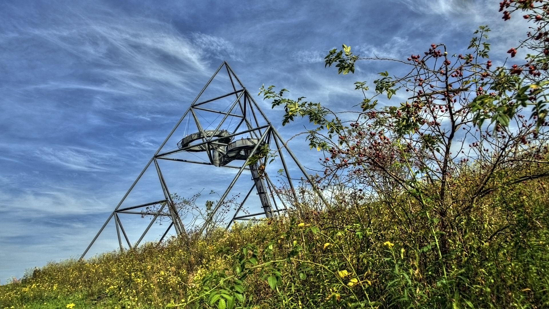 Tetraeder im Altweibersommer