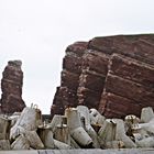 Tetrapoden auf Helgoland