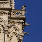 Teufel und Dämonen an der Notre Dame