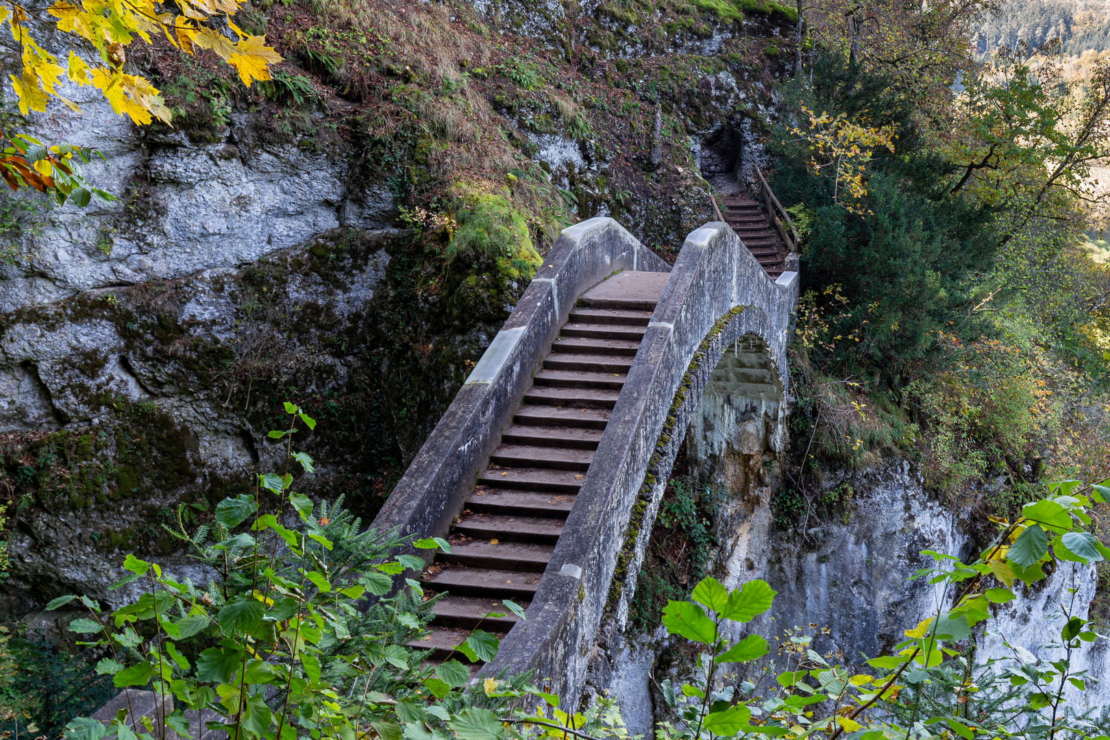 Teufelsbrücke Foto & Bild | landschaft, herbst, tiere Bilder auf