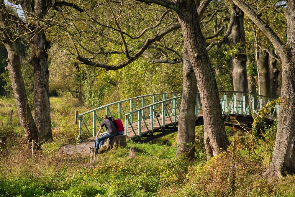 Teufelsbrücke Ilmenau