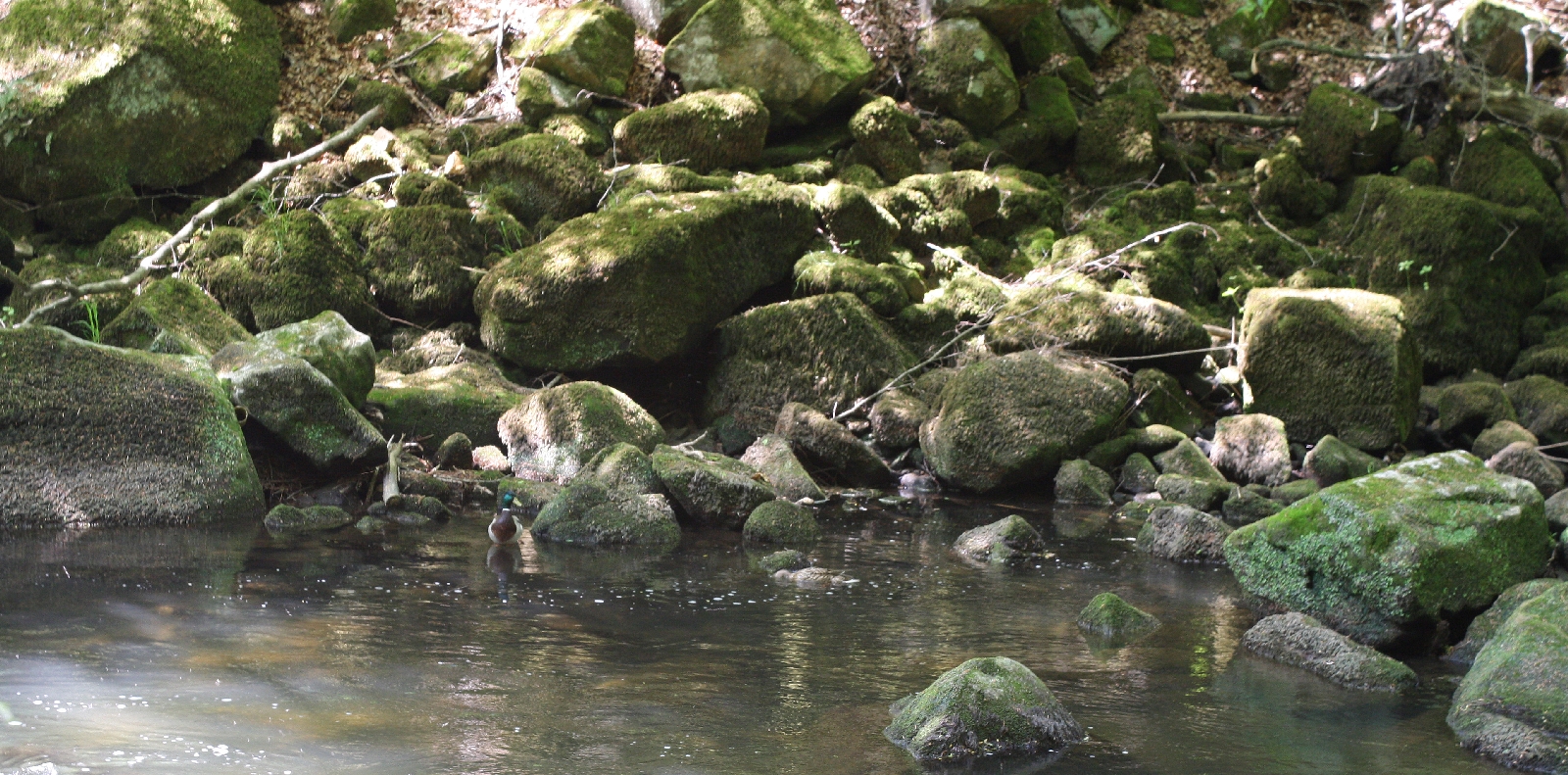 Teufelschlucht Irrel