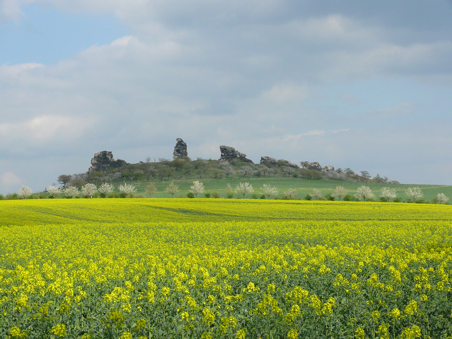 Teufelsmauer bei Weddersleben, aus Richtung Thale gesehen