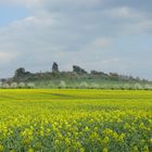 Teufelsmauer bei Weddersleben, aus Richtung Thale gesehen