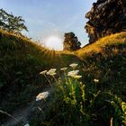 Teufelsmauer bei Weddersleben/Neinstedt