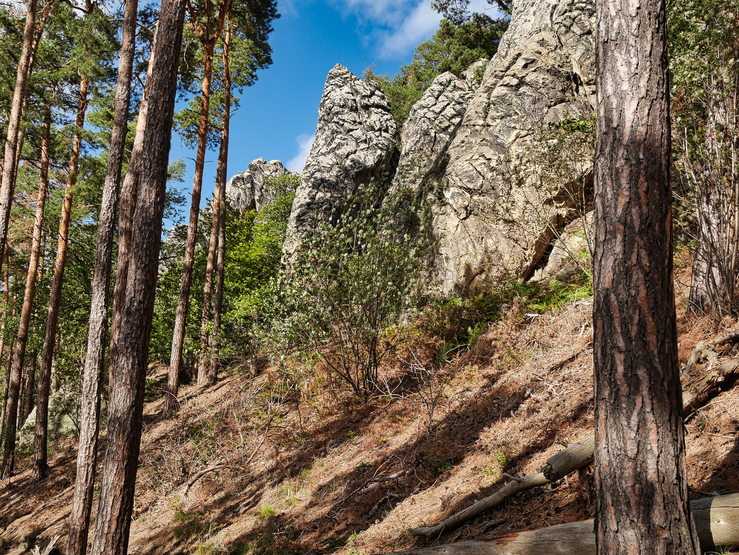 Teufelsmauer Blankenburg (Harz)