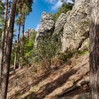 Teufelsmauer Blankenburg (Harz)