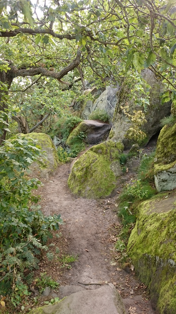 Teufelsmauer, Harz