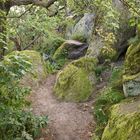 Teufelsmauer, Harz