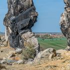 Teufelsmauer I  -  östliches Harz-Vorland