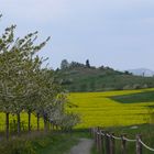 Teufelsmauer im April 1