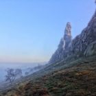 teufelsmauer im nebel