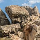 Teufelsmauer IV- östliches Harz-Vorland