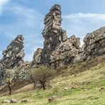 Teufelsmauer VI - östliches Harz-Vorland