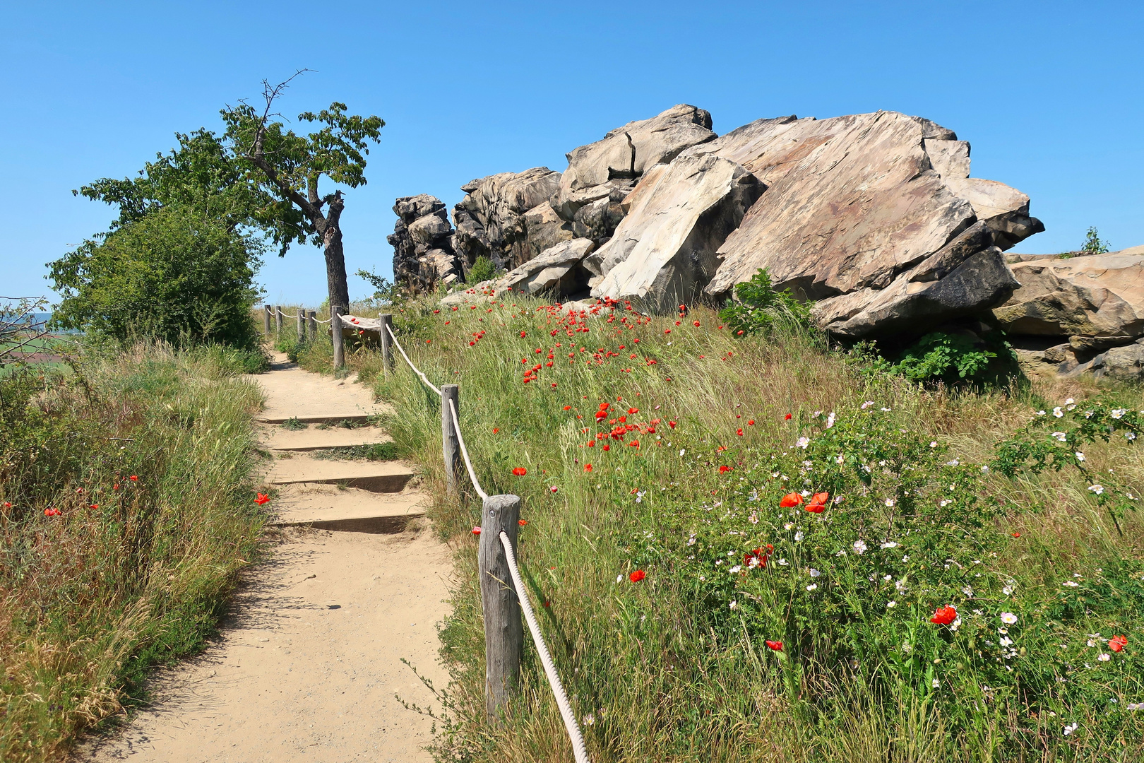 Teufelsmauer Weddersleben