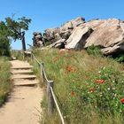 Teufelsmauer Weddersleben