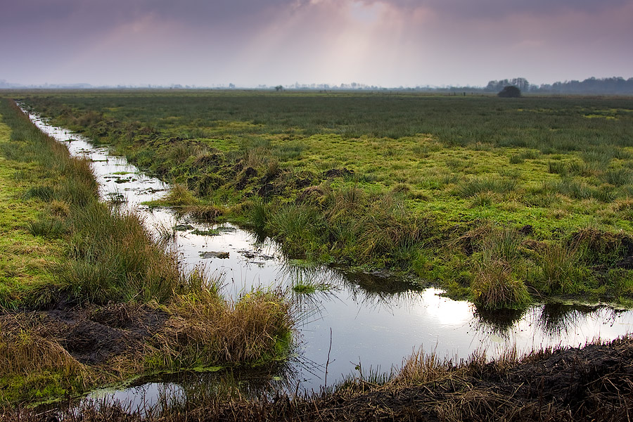 Teufelsmmor Drainage