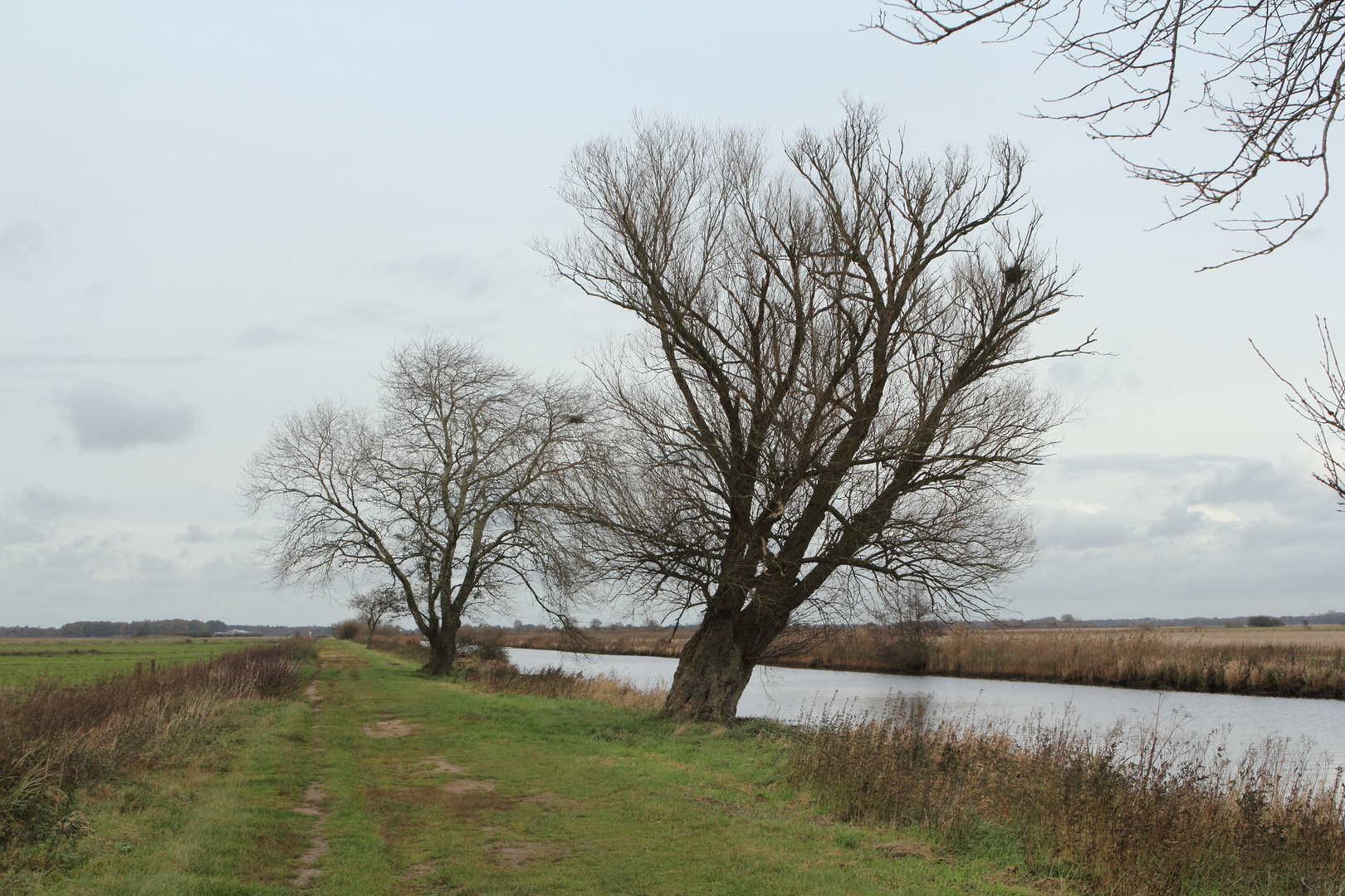 Teufelsmmor II - An der Hamme