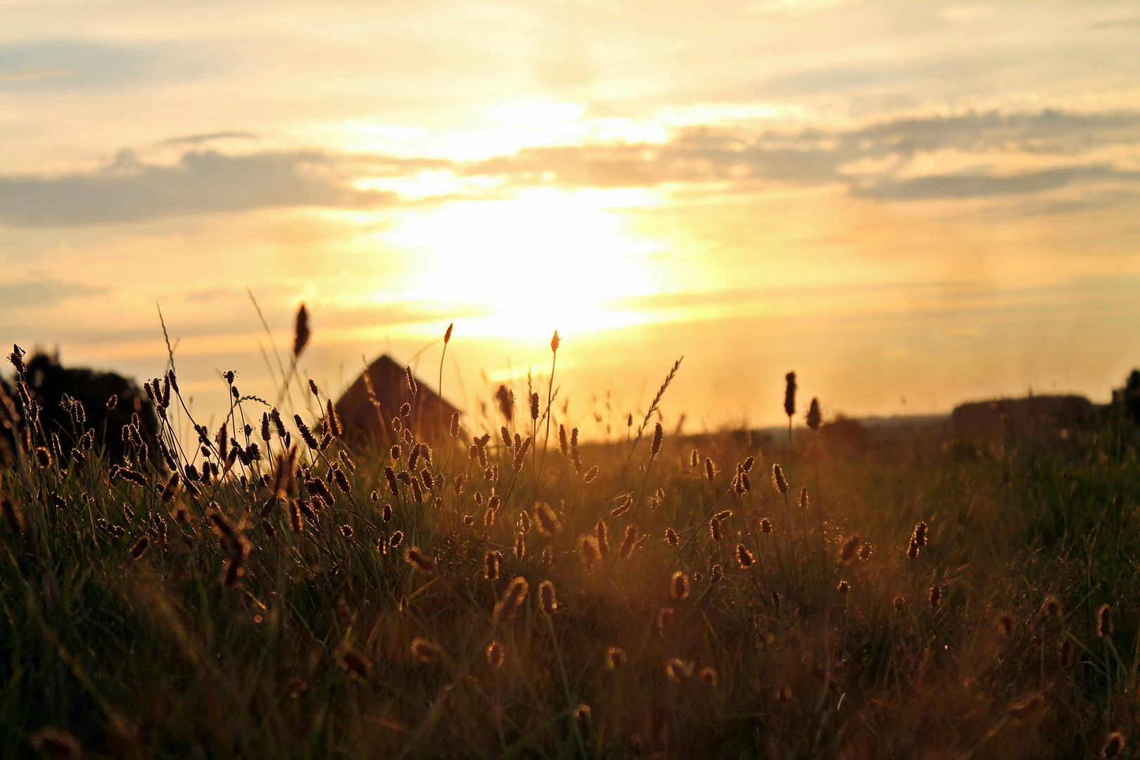 Teufelsmoor bei Sonnenaufgang