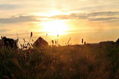 Teufelsmoor bei Sonnenaufgang