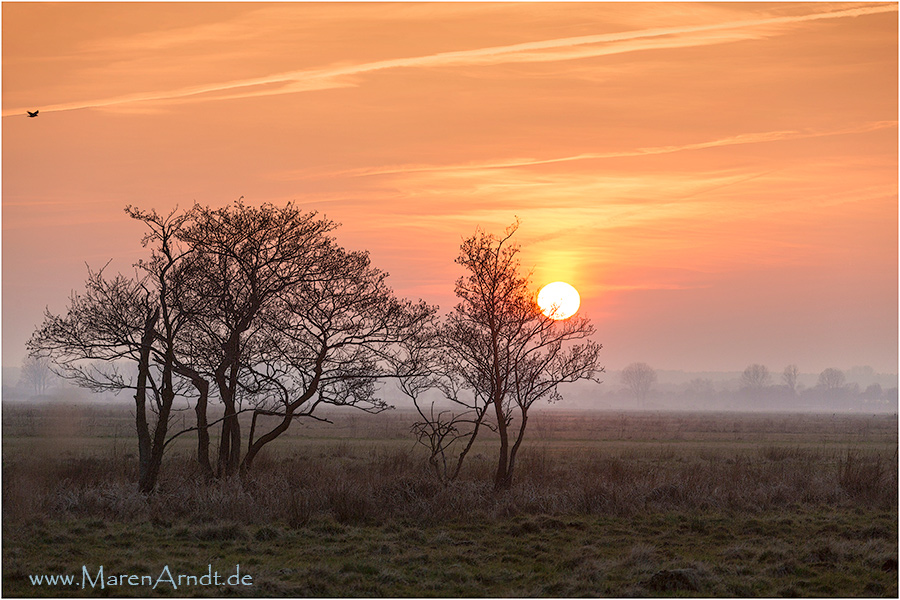 Teufelsmoor Sunset