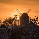 Teufelsmühle Warnstedt im Sonnenuntergang