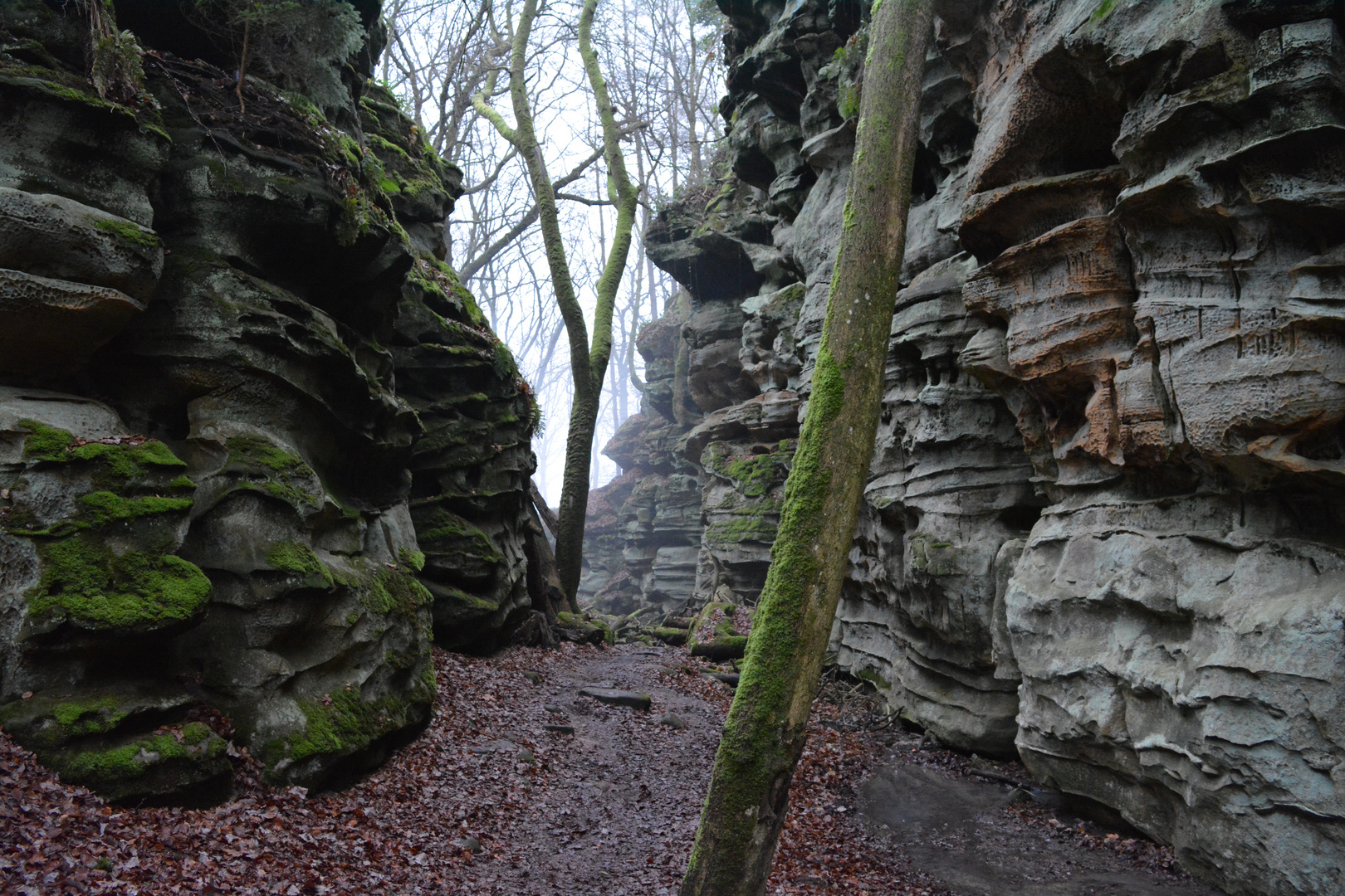 Teufelsschlucht II