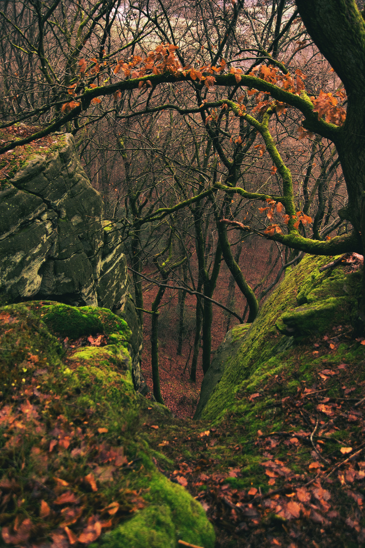 Teufelsschlucht Luxemburg