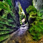 Teufelsschlucht Nationalpark Eifel