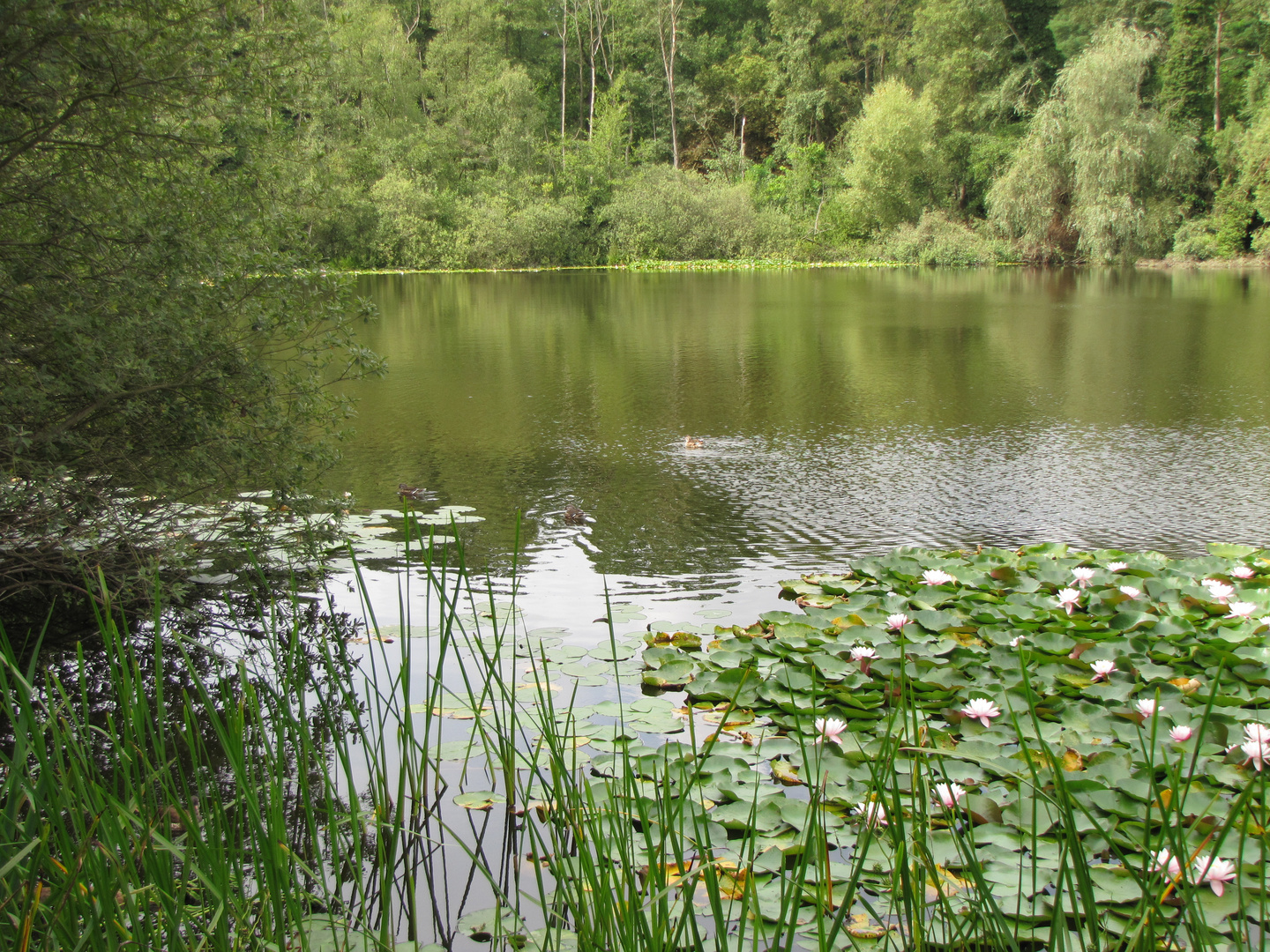 Teufelssee  (Berlin)