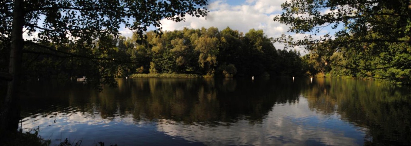 TEUFELSSEE im Grunewald