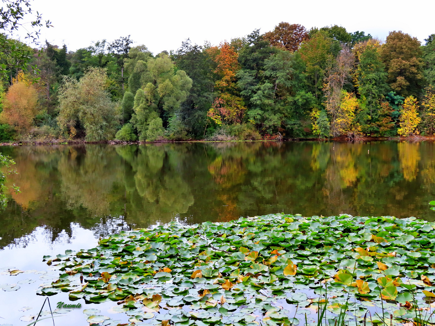 Teufelssee Müggelberge